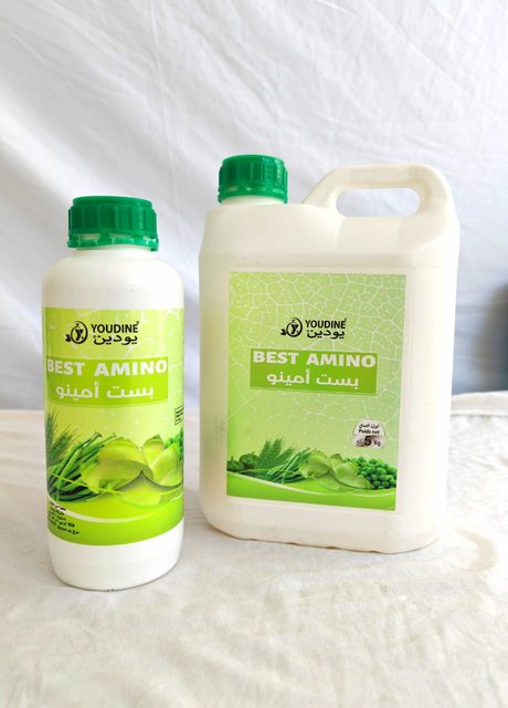 BEST AMINO, stimulant de croissance YOUDINE
